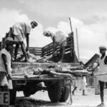 Great Calcutta Killing 1946 riot scene in Kolkata during Direct Action Day communal violence